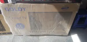 GOLDY 55 Inchi Double Glass Smart 2024 Tv