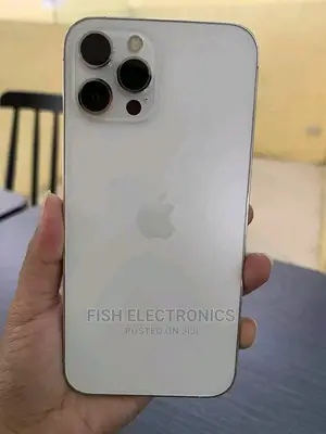 Photo - Apple iPhone 12 Pro Max 128 GB Silver