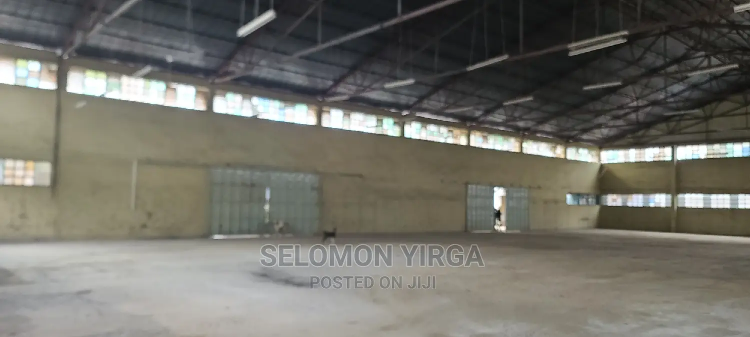 መጋዘን ክራይ ነዉ