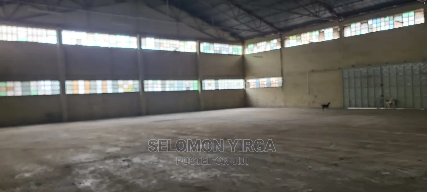 መጋዘን ክራይ ነዉ