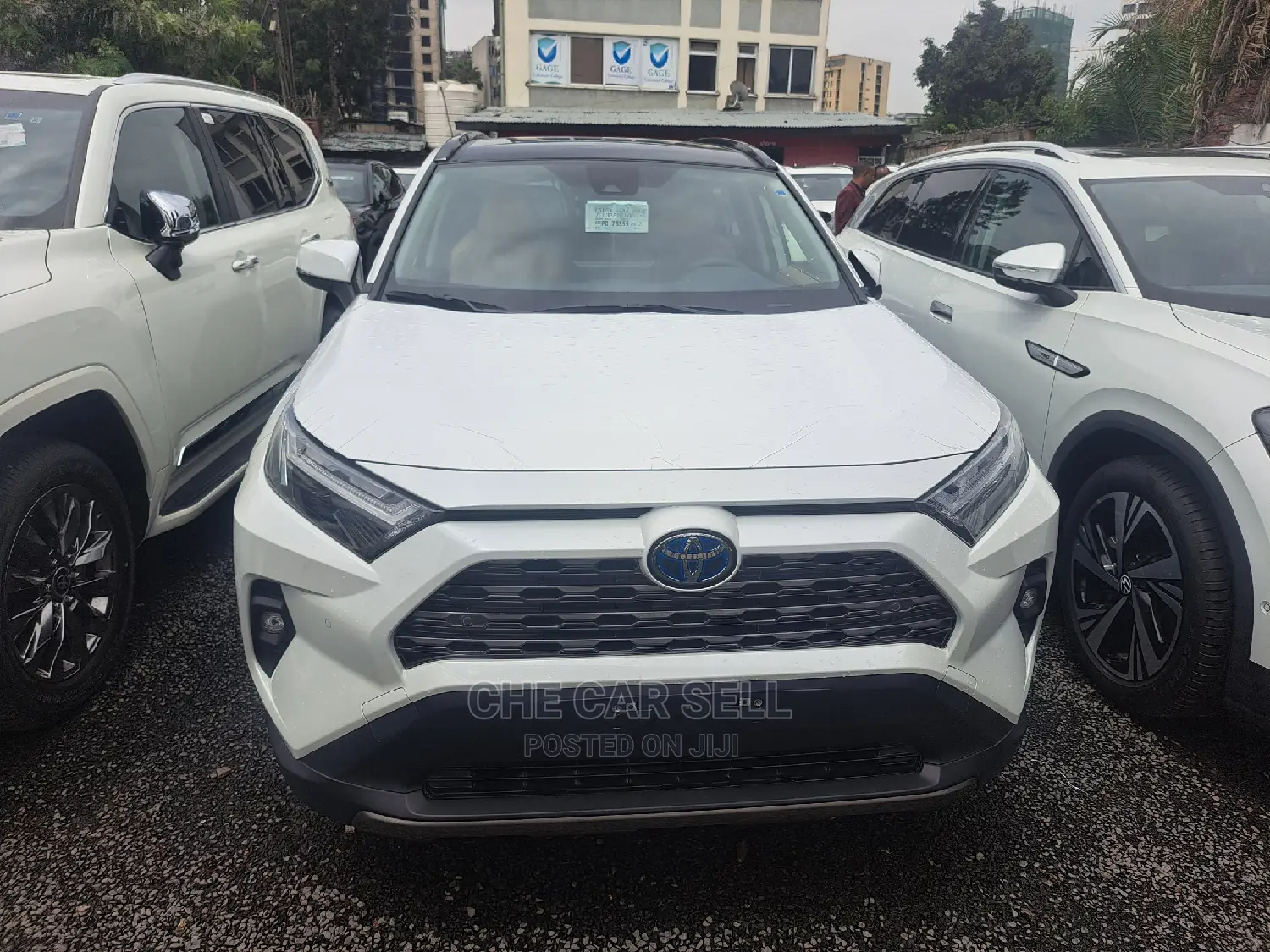 New Toyota RAV4 2022 White
