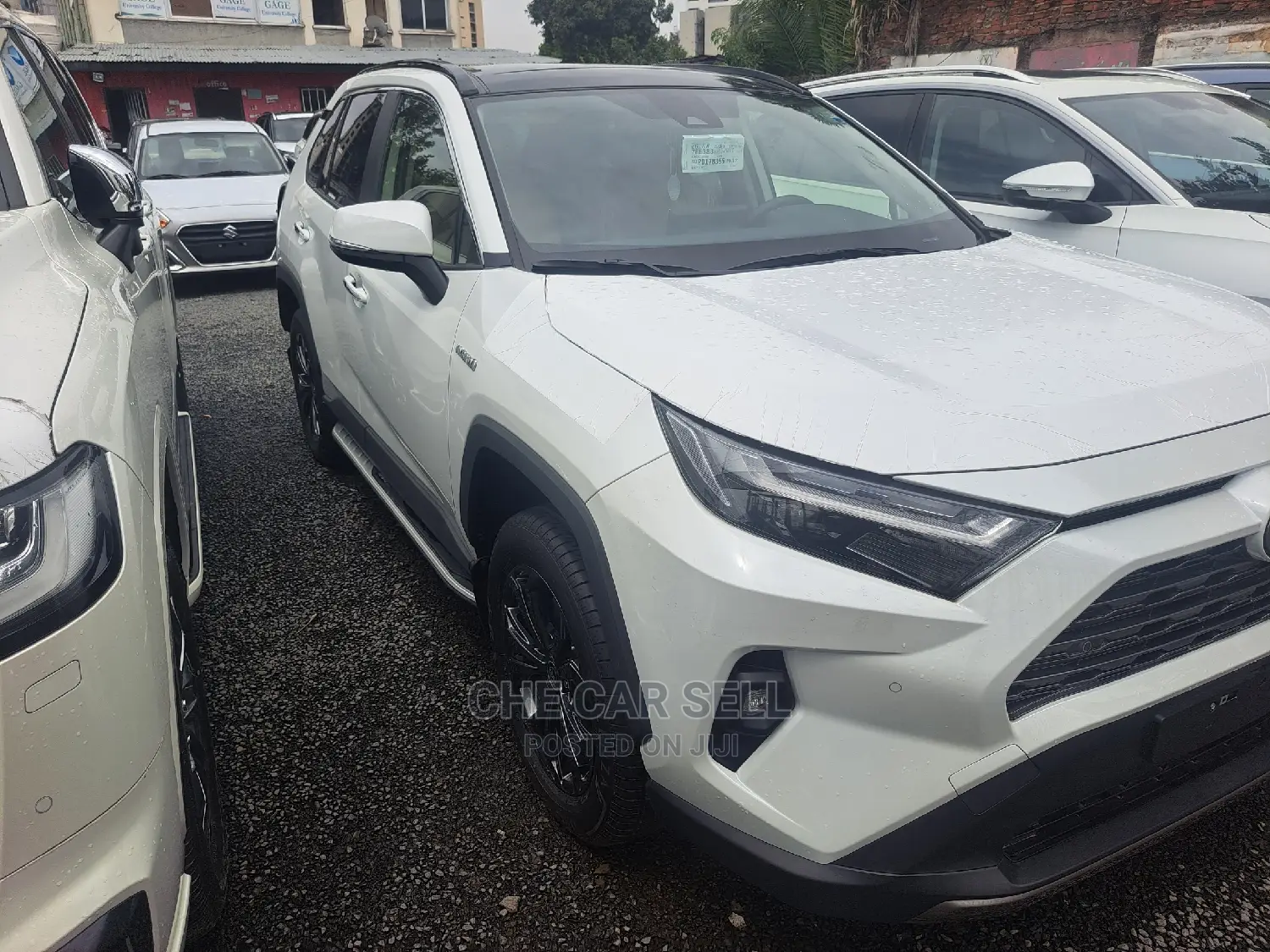 New Toyota RAV4 2022 White