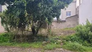 Photo - Land for Sela