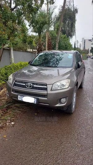 Photo - Toyota RAV4 2010 Gray