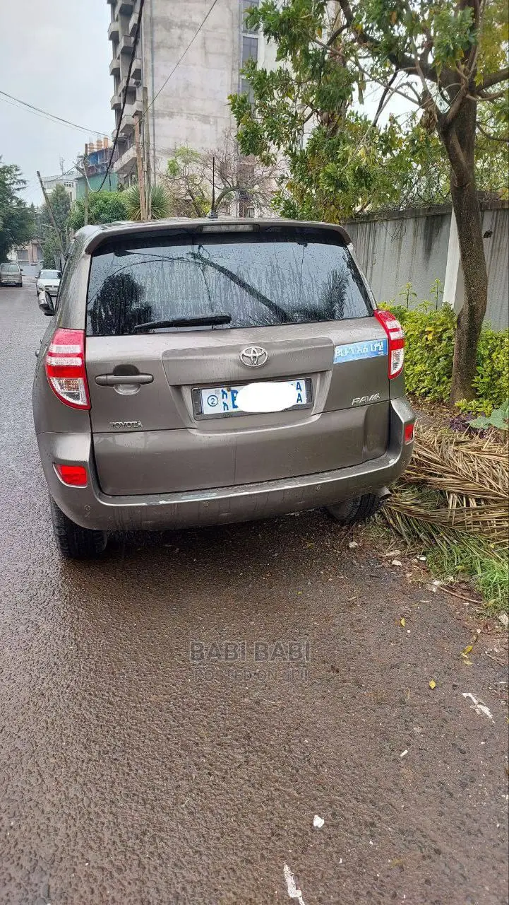 Toyota RAV4 2010 Gray