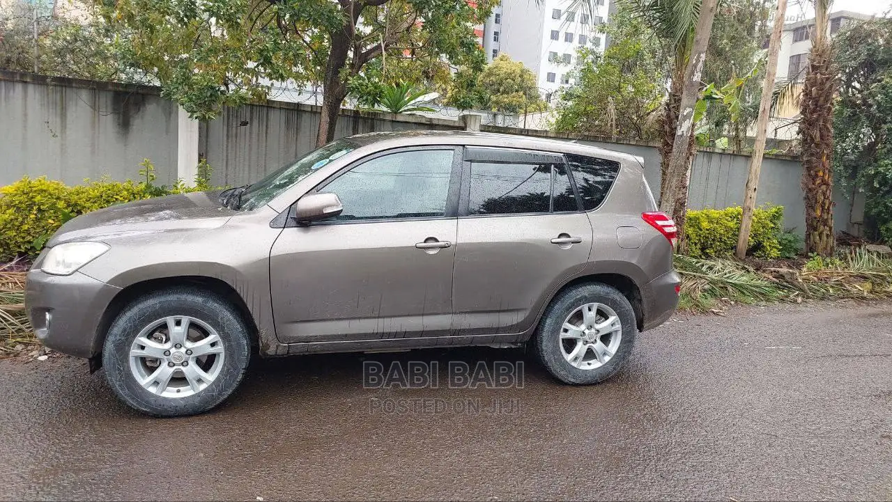 Toyota RAV4 2010 Gray