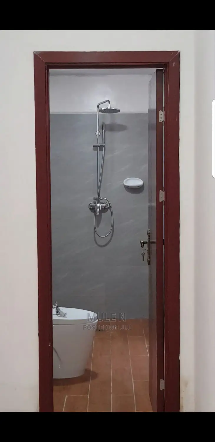 Furnished 2bdrm Apartment in Noah Figga, Bole for sale