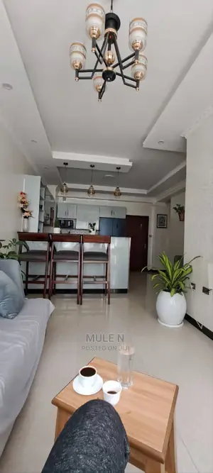 Furnished 2bdrm Apartment in Noah Figga, Bole for sale