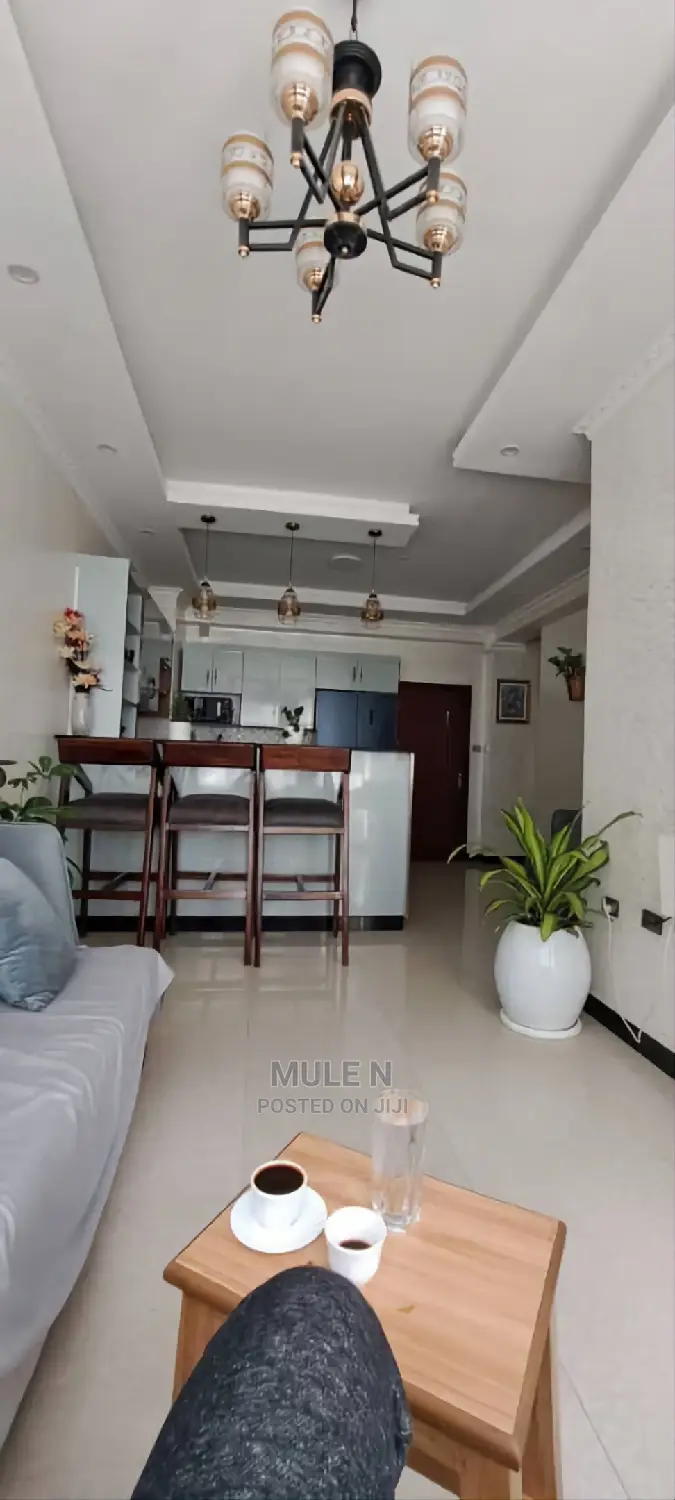 Furnished 2bdrm Apartment in Noah Figga, Bole for sale