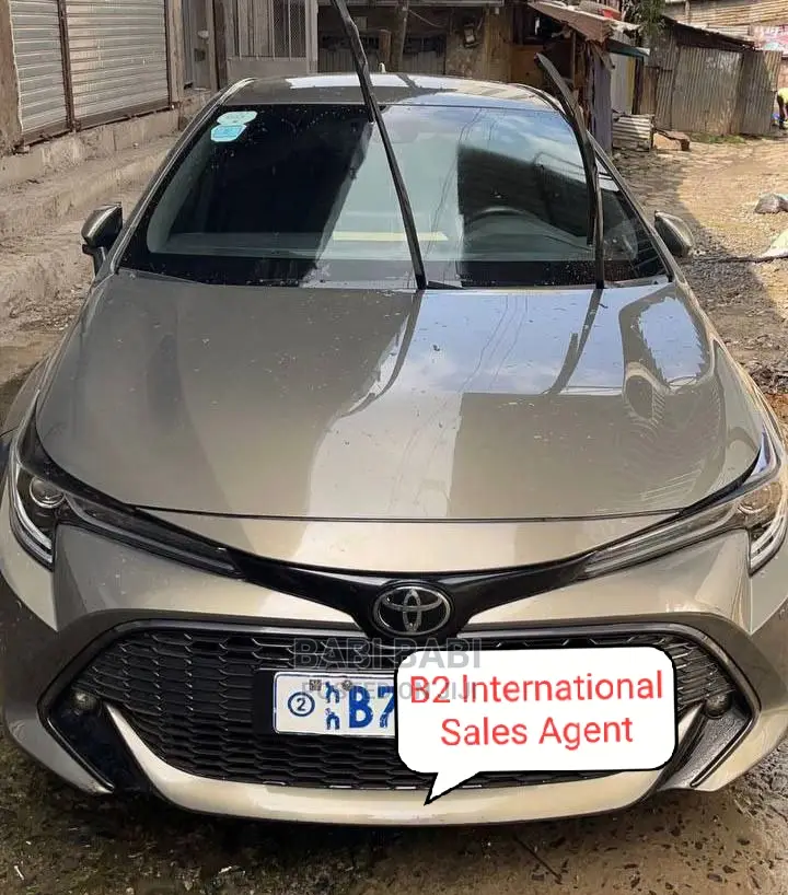 Toyota Corolla 2021 Gray