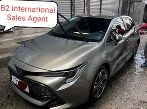 Toyota Corolla 2021 Gray