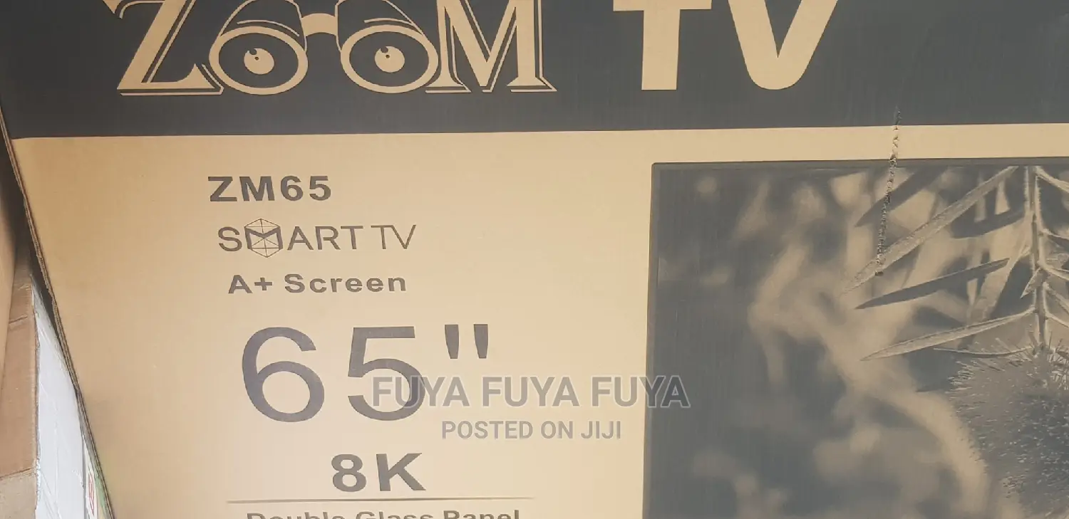 ZOOM 65 Inchi Double Glass Smart 2023 Tv