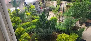 Furnished 3bdrm Apartment in አድስ አበባ, Yeka for rent