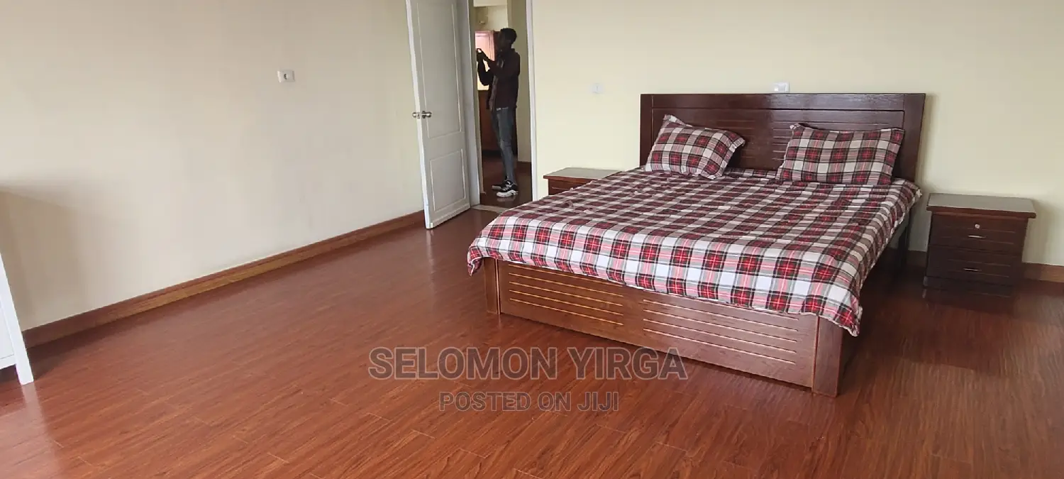 Furnished 3bdrm Apartment in አድስ አበባ, Yeka for rent
