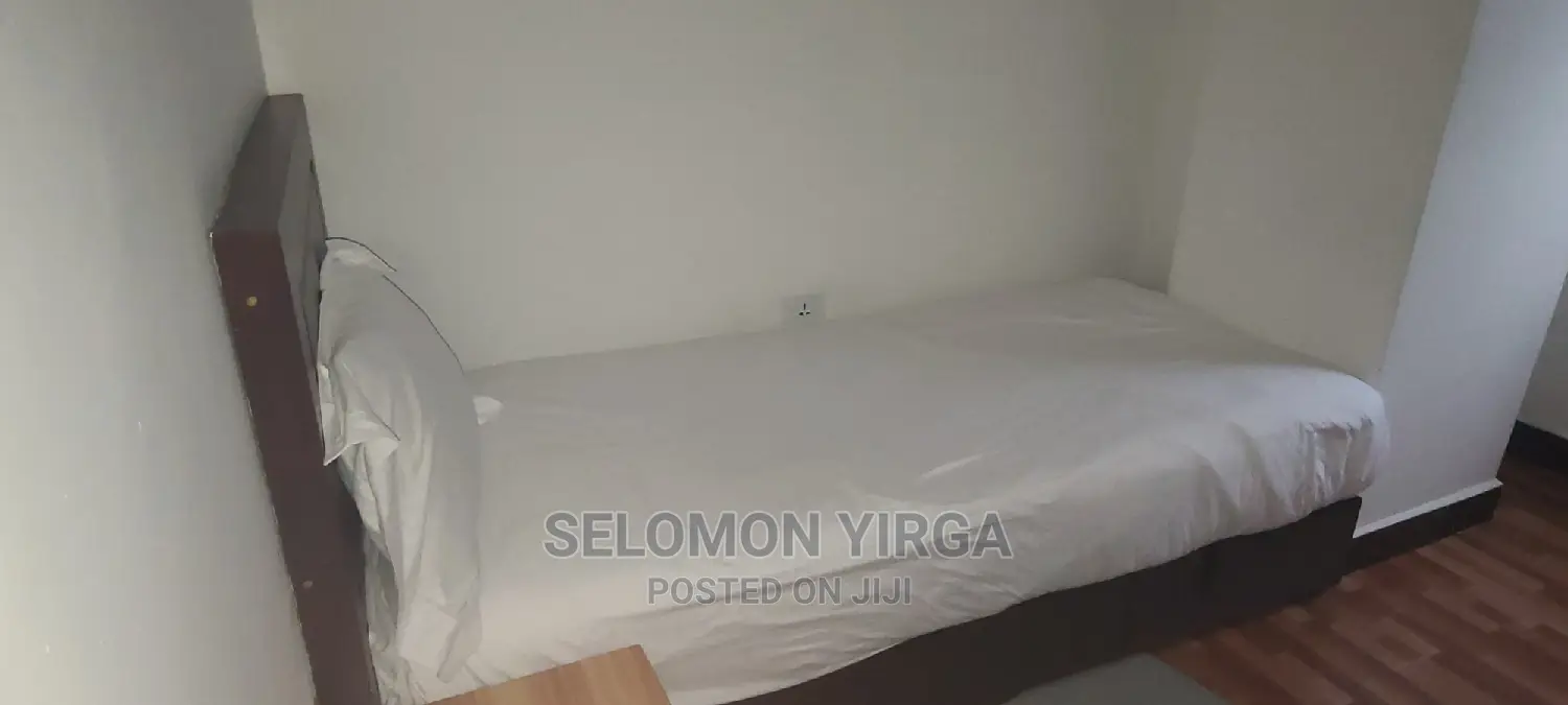 Furnished 3bdrm Apartment in አድስ አበባ, Yeka for rent