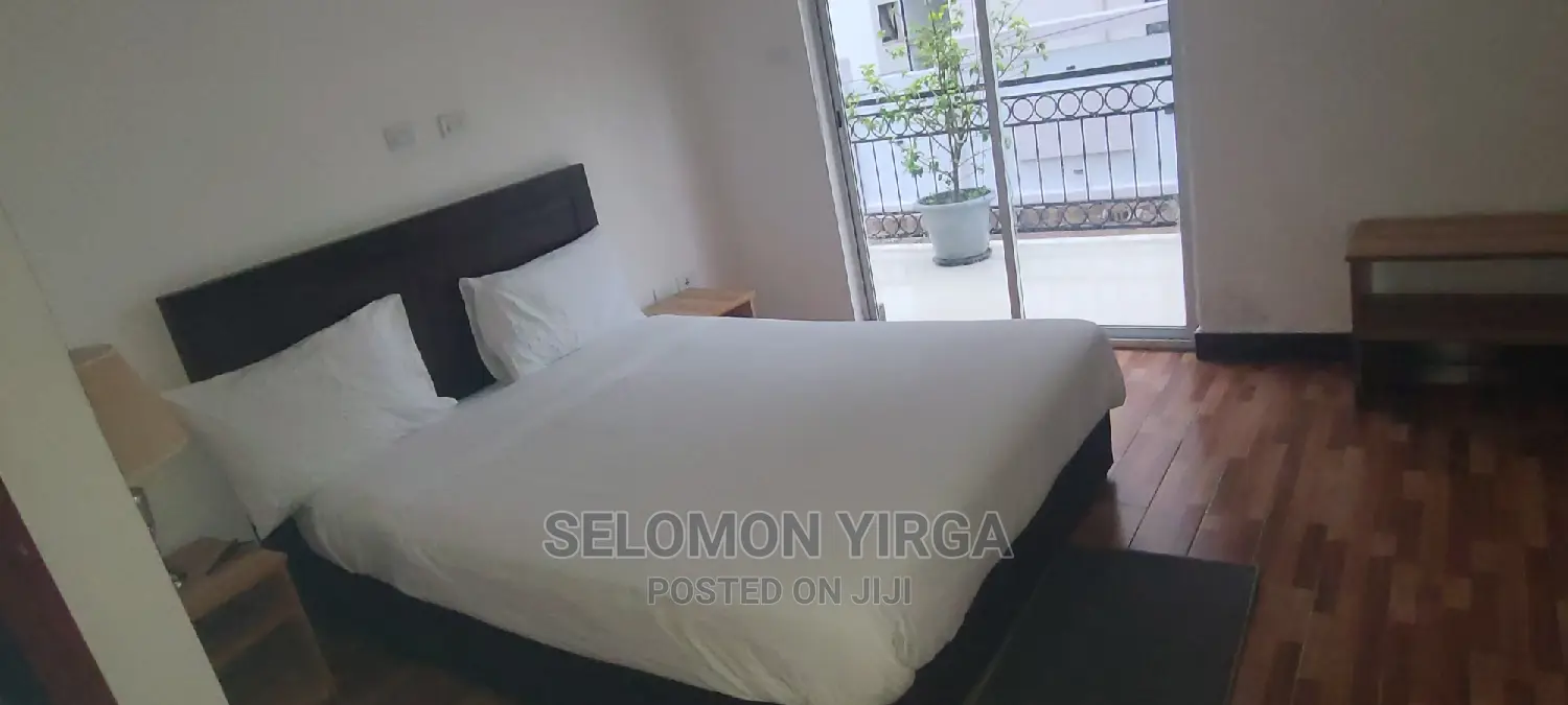 Furnished 3bdrm Apartment in አድስ አበባ, Yeka for rent