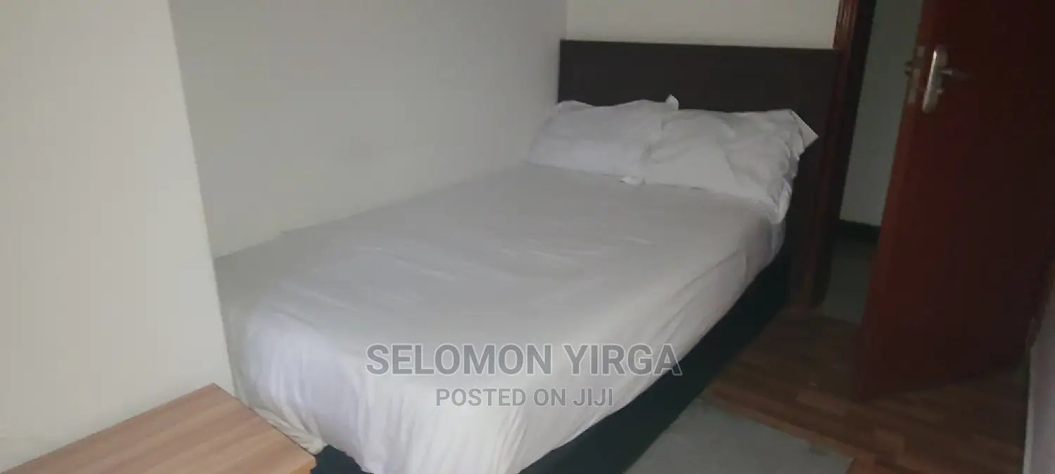 Furnished 3bdrm Apartment in አድስ አበባ, Yeka for rent