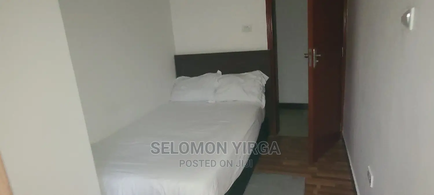 Furnished 3bdrm Apartment in አድስ አበባ, Yeka for rent