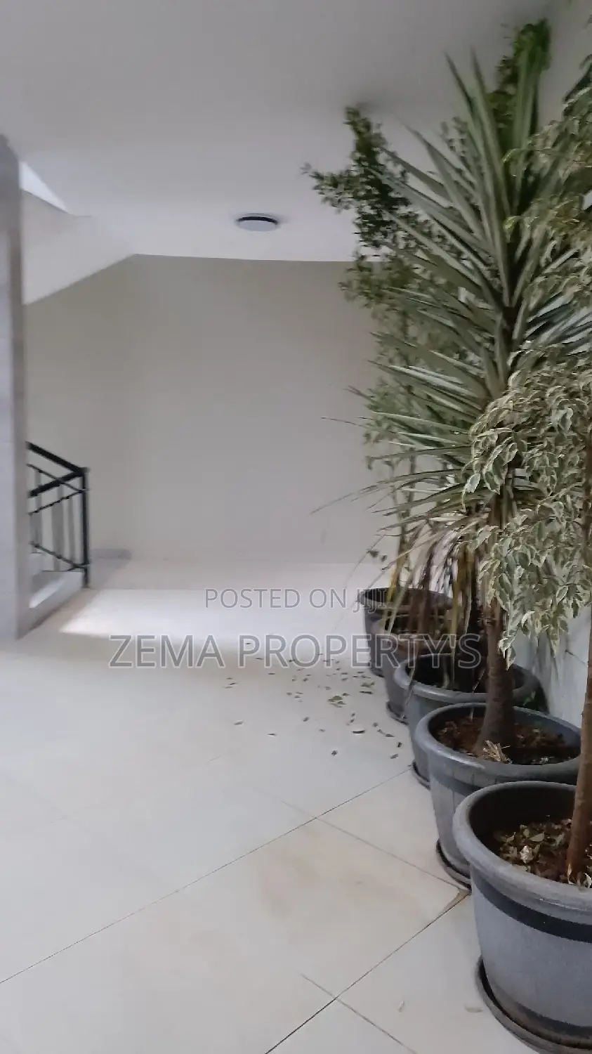 2bdrm Apartment in Zema, Bole for rent