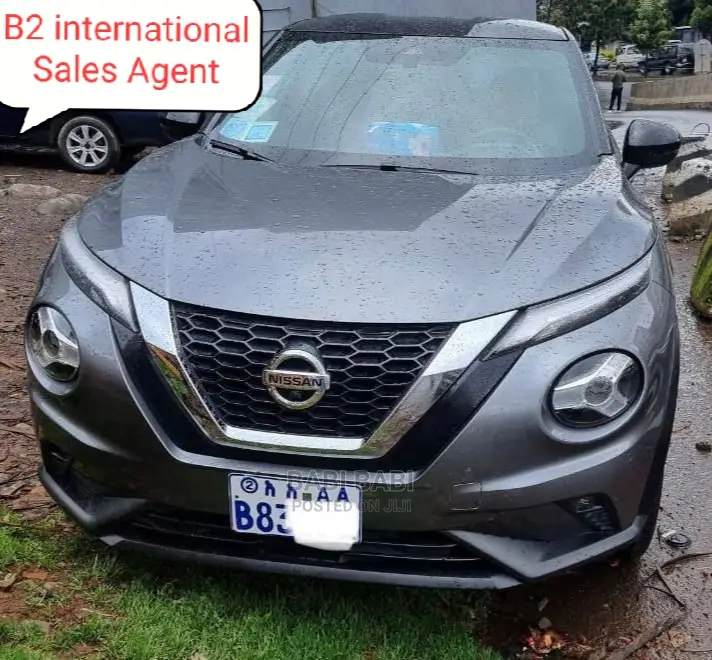 Nissan Juke 2021 Silver