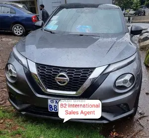 Nissan Juke 2021 Silver