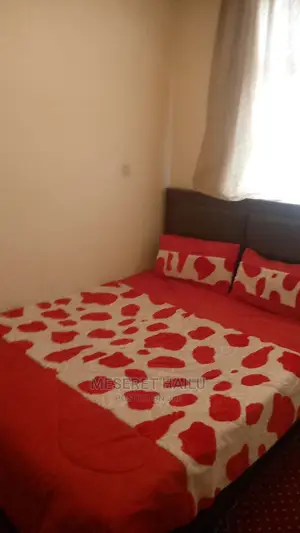 Furnished 3bdrm House in Bole for rent