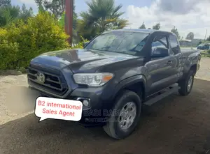 Toyota Tacoma 2021 Gray