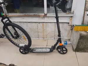 Adult Scooter