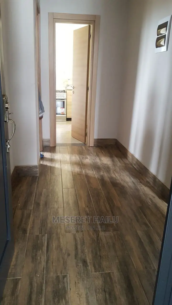 Furnished 6bdrm Apartment in Bole for rent