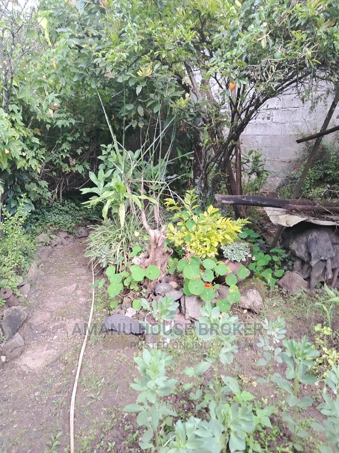 1bdrm House in Addis Abeba, Yeka for sale