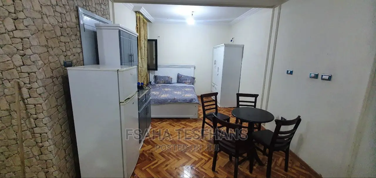 Furnished Studio Apartment in Studio  House For, Yeka for rent