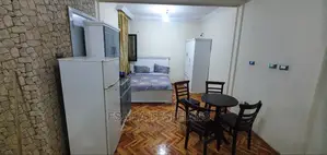 Furnished Studio Apartment in Studio  House For, Yeka for rent