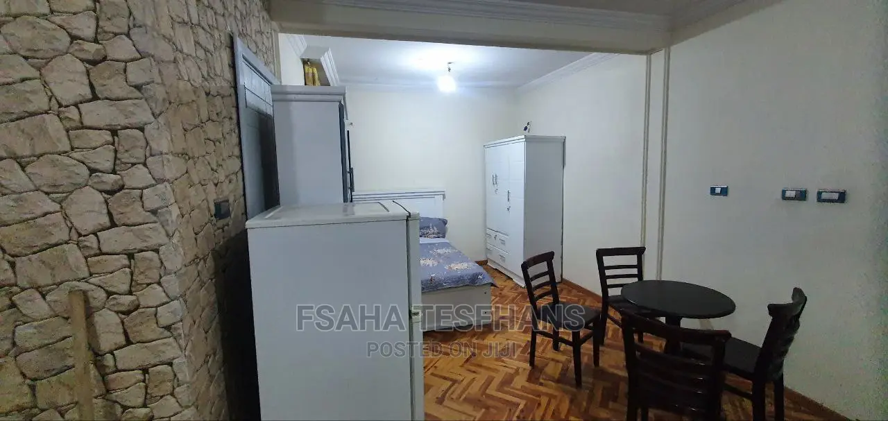 Furnished Studio Apartment in Studio  House For, Yeka for rent