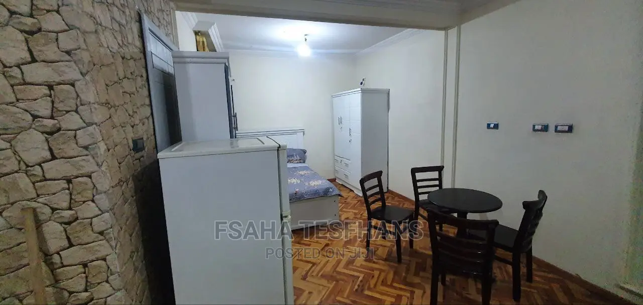 Furnished Studio Apartment in Studio  House For, Yeka for rent