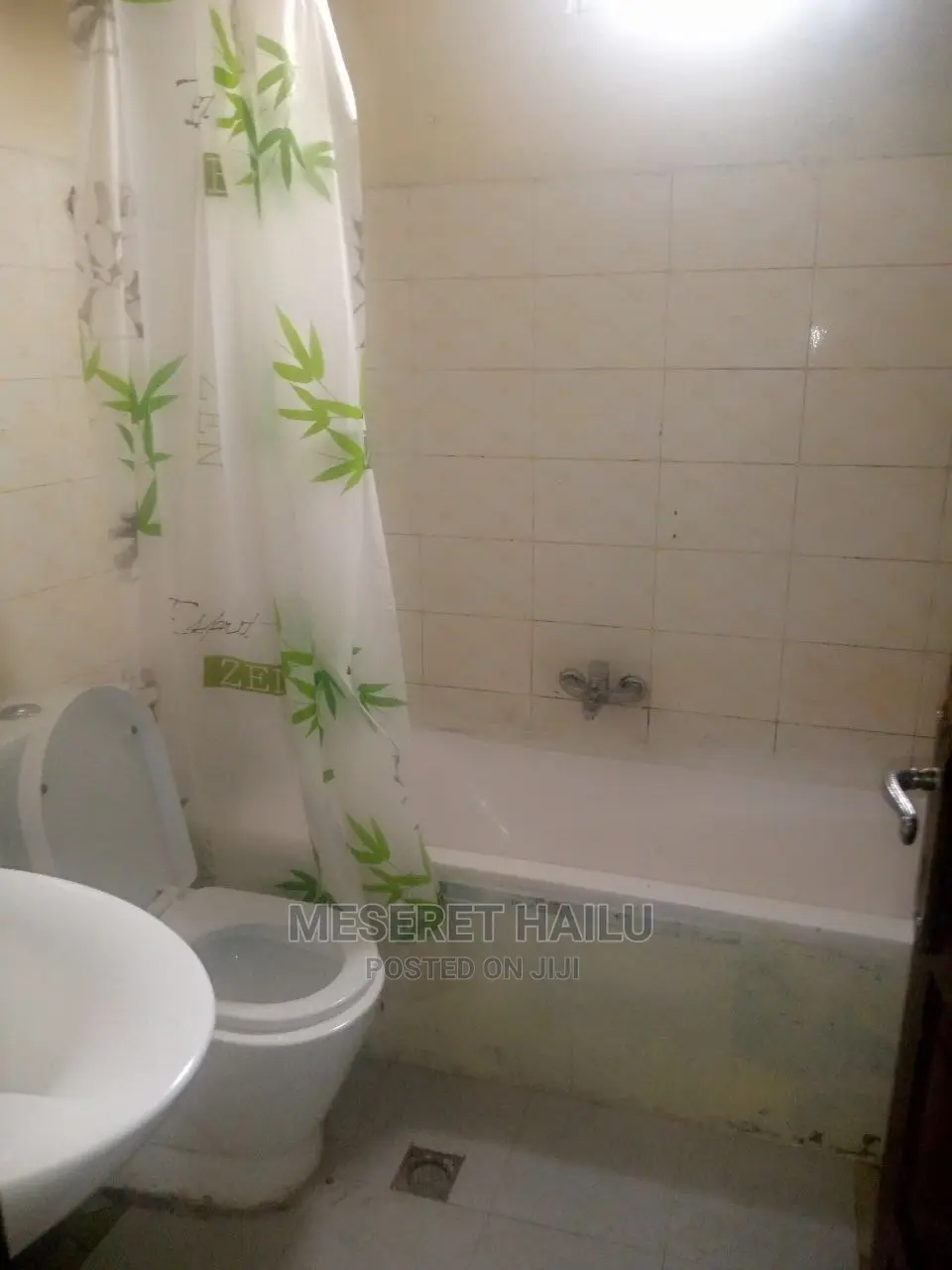 Furnished 1bdrm Apartment in Bole Micale for rent