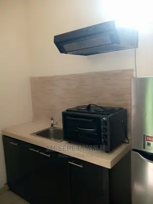 Furnished 1bdrm Apartment in Bole for rent