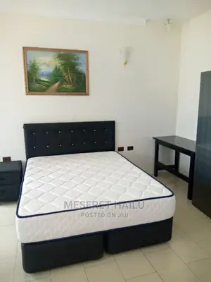 Furnished 1bdrm Apartment in Bole for rent