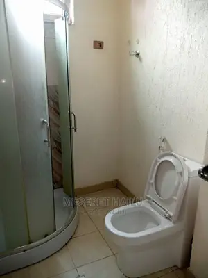 Furnished 1bdrm Apartment in Bole for rent