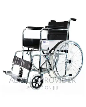 Silver Fixed Manual Folding Wheelchair