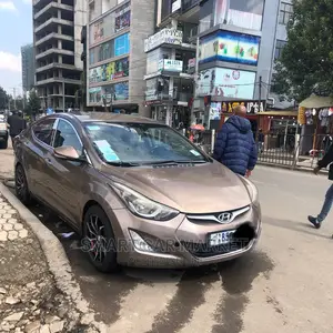 Photo - Hyundai Elantra 2015 Brown