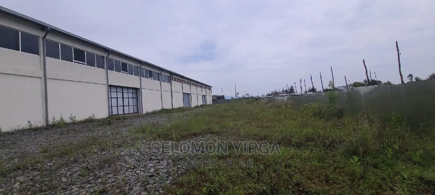 መጋዘን ማከራይት ጀምረነል