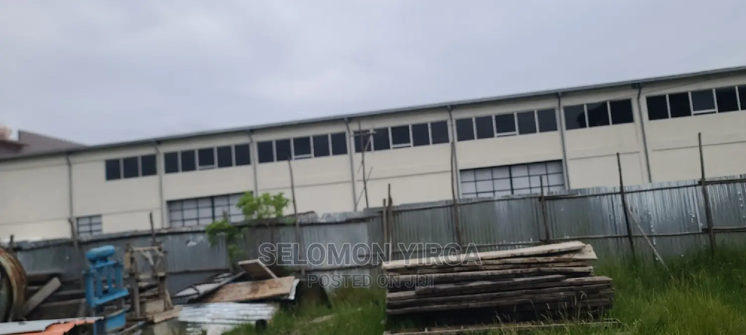 መጋዘን ማከራይት ጀምረነል