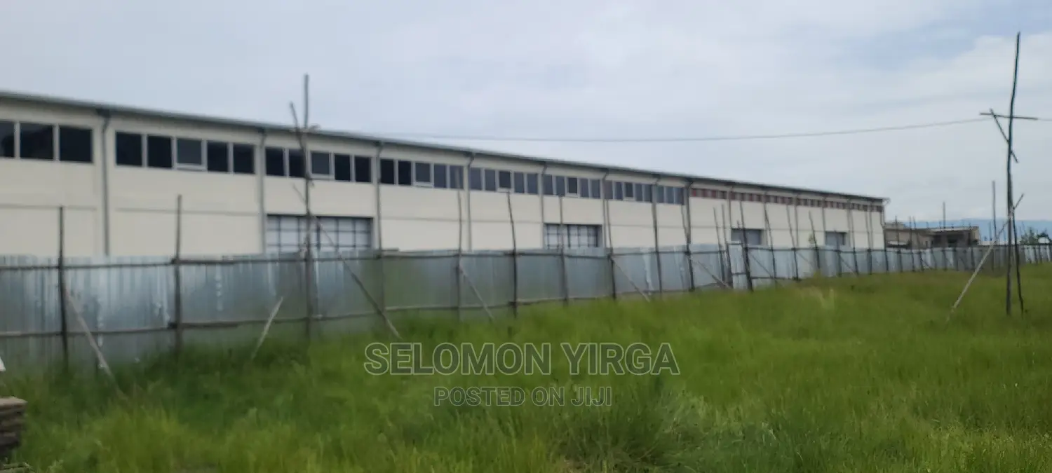 መጋዘን ማከራይት ጀምረነል