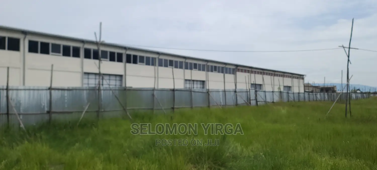 መጋዘን ማከራይት ጀምረነል