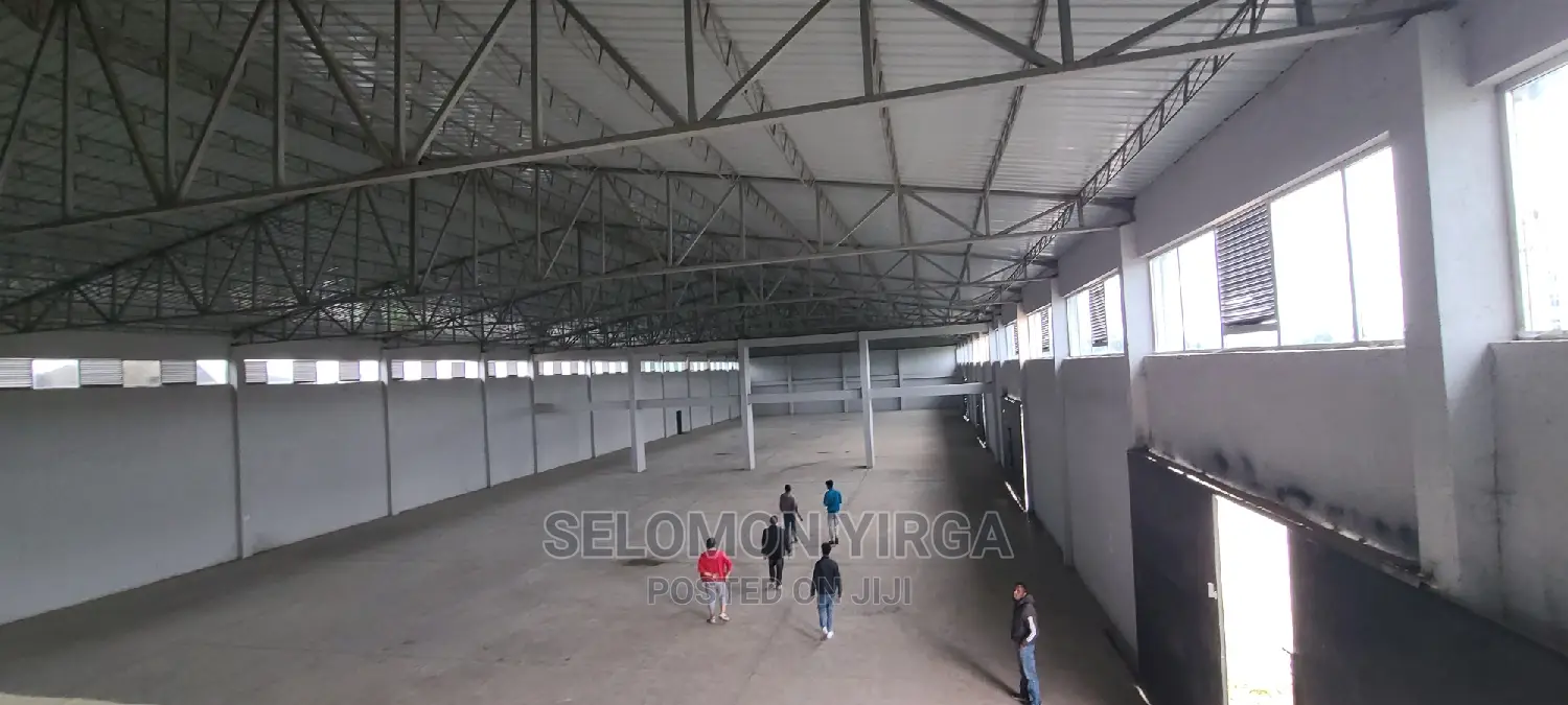 መጋዘን አለ የሚከራይ