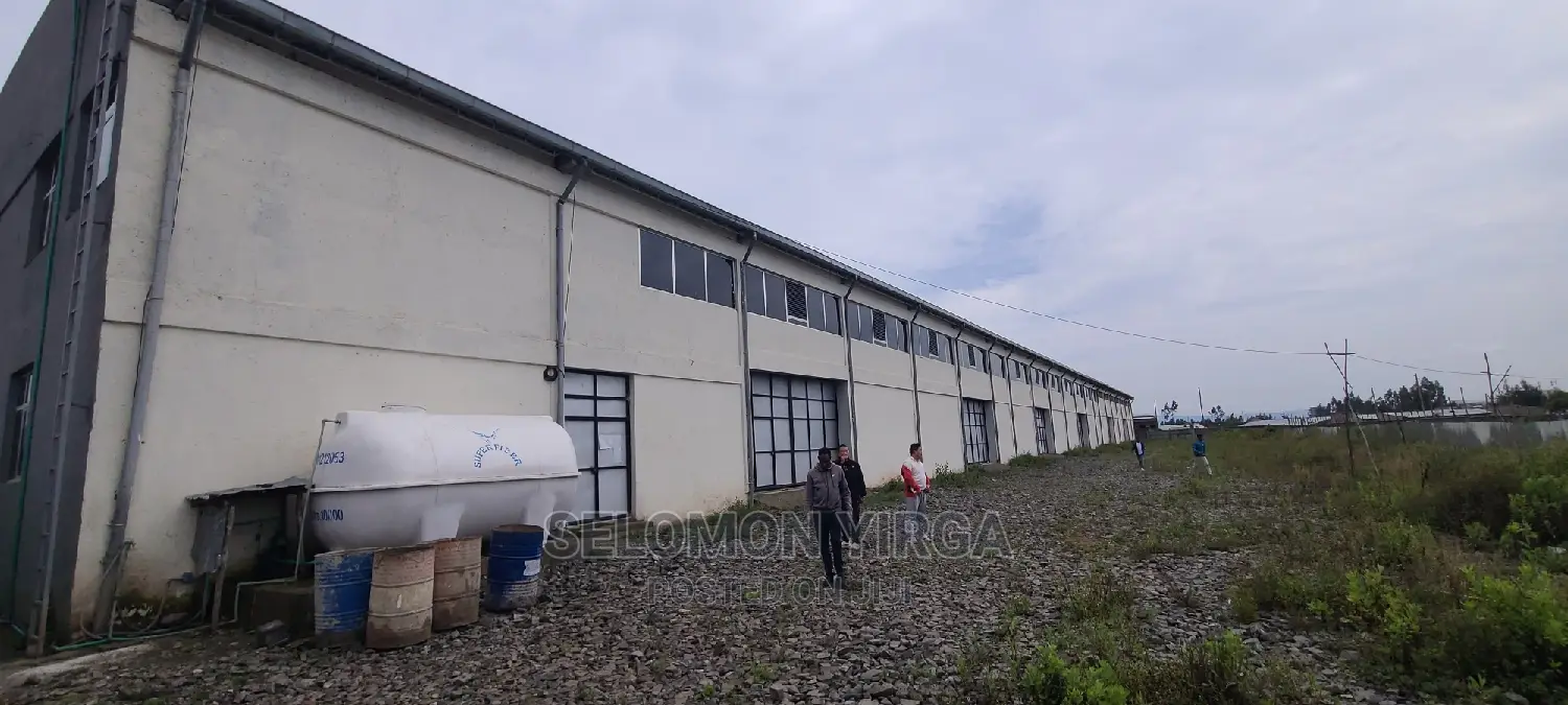 መጋዘን አለ የሚከራይ