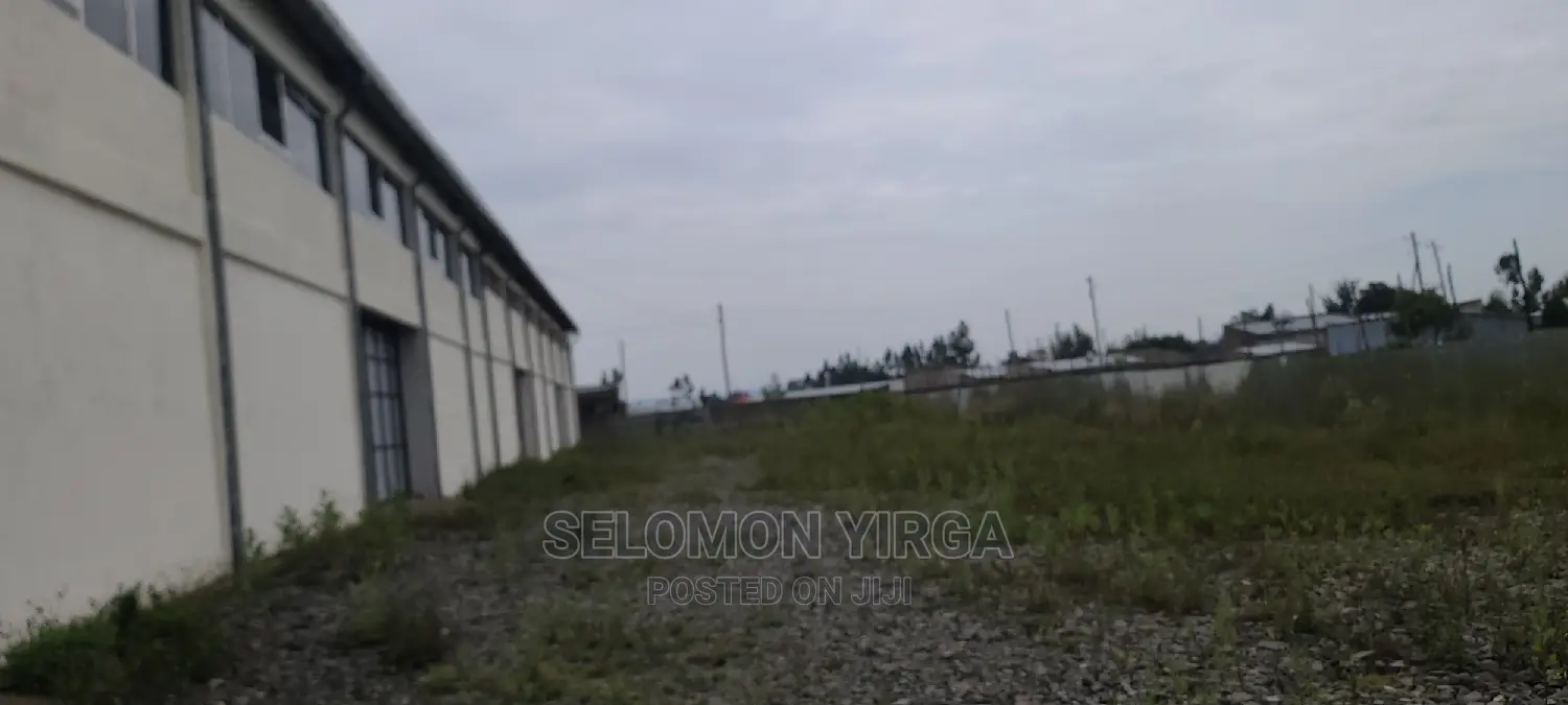 መጋዘን አለ የሚከራይ