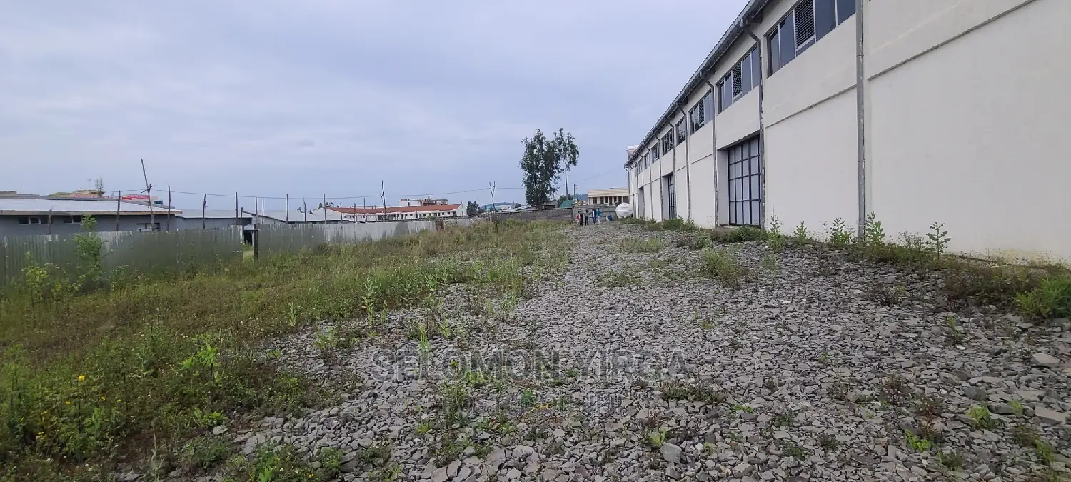 መጋዘን አለ የሚከራይ