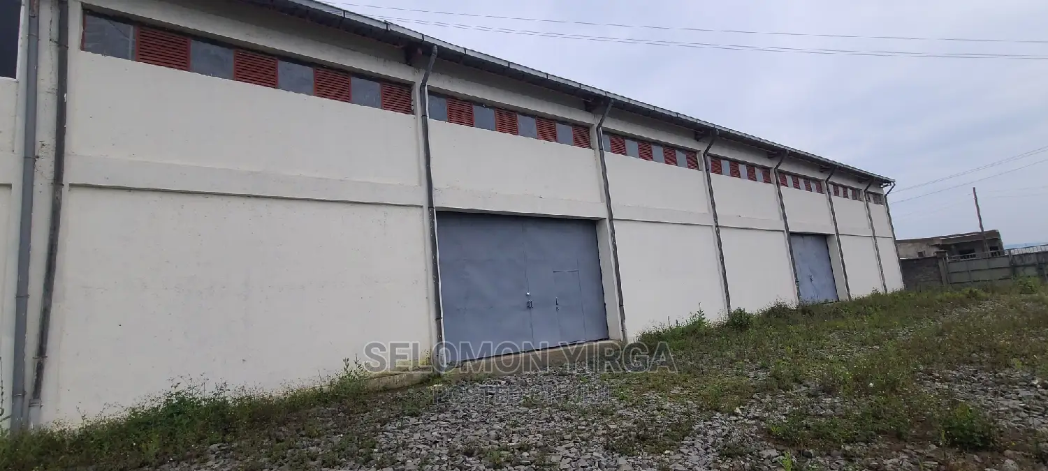 መጋዘን አለ የሚከራይ