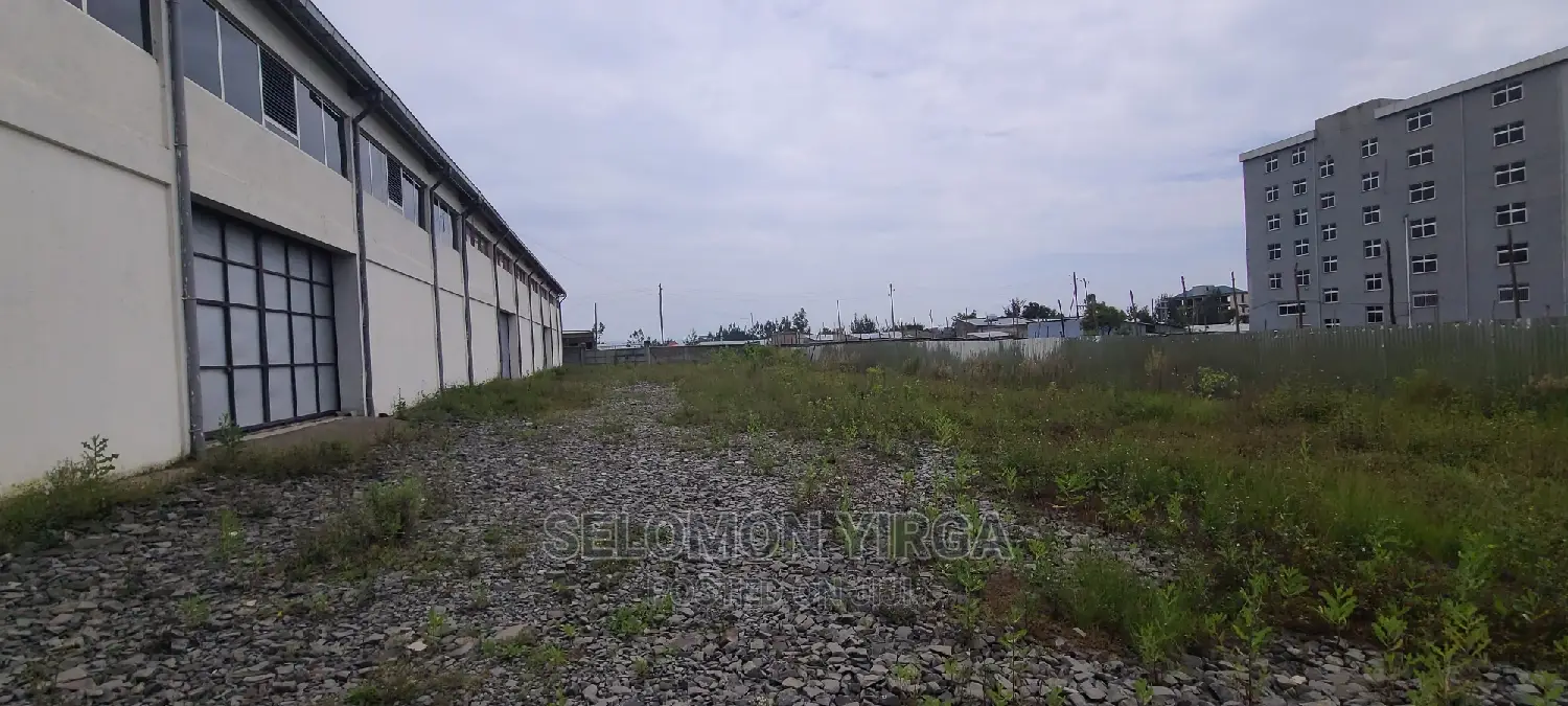 መጋዘን አለ የሚከራይ